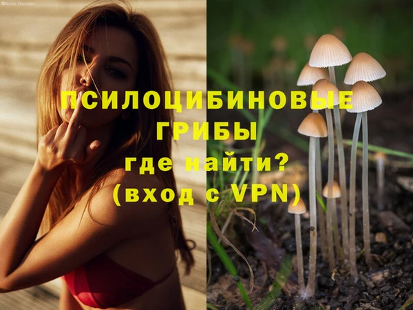 гашик Алексеевка