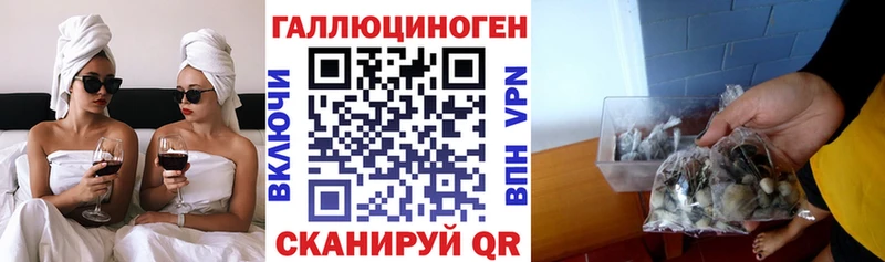 blacksprut сайт  нарко площадка формула  Псилоцибиновые грибы мицелий  Среднеколымск 